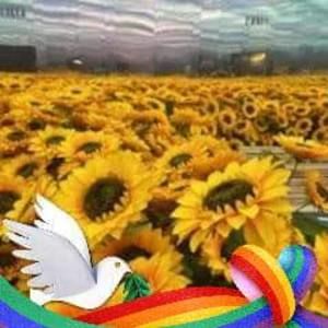 Meet your Posher, Alison